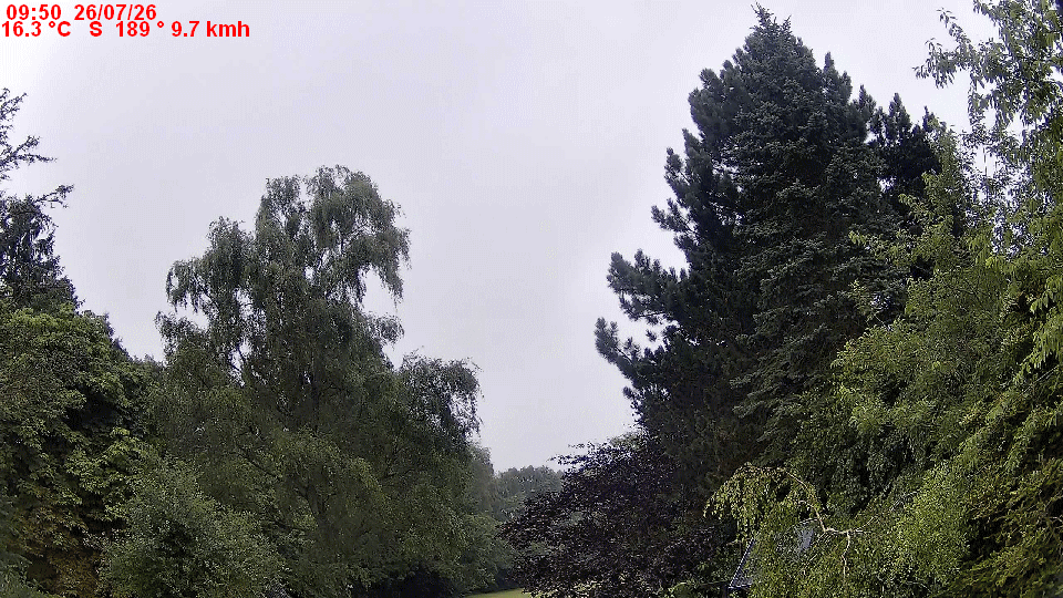 Animiertes Bild meiner WebCam