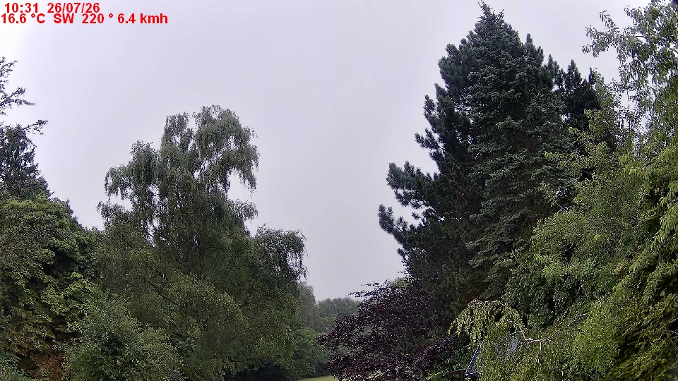 Aktuelles Webcambild"
